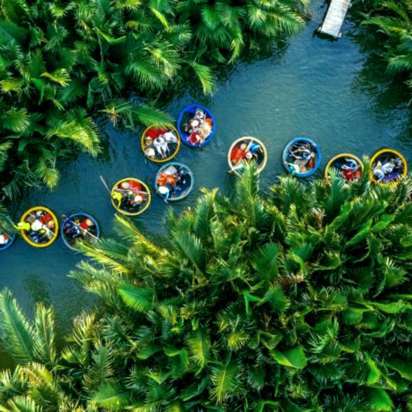 Bay Mau Coconut Forest